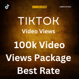 100k TikTOk Video Views Pacakage