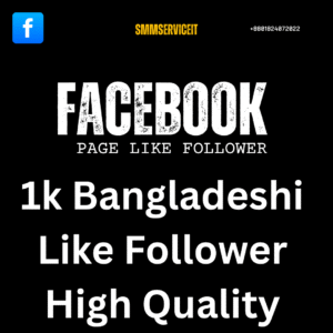 1k Facebook Page Like Follower High Quality