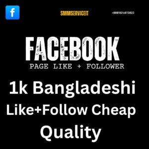 Facebook Page 1k Like Follower Bangladeshi Cheap Quality