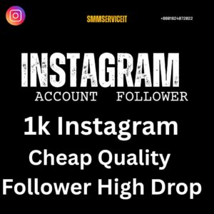 Low Rate Intsagram Follower Pacakage