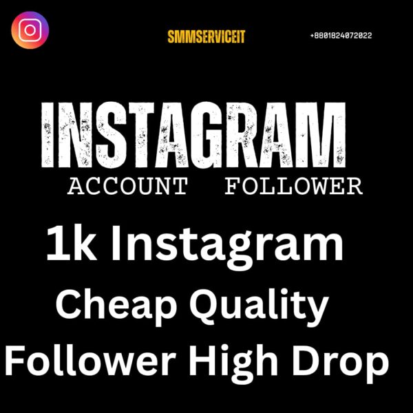 Low Rate Intsagram Follower Pacakage