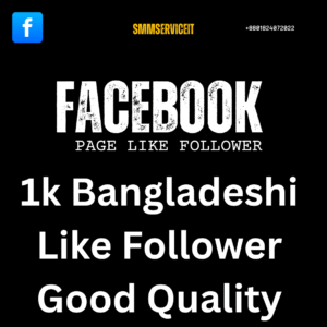 Facebook Page 1k Like Follower  Bangladeshi Good Quality