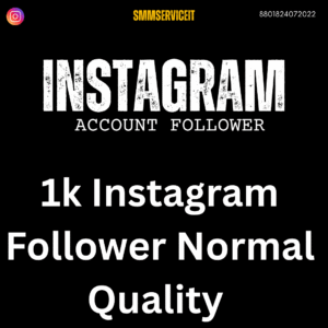 1k Instagram Account Follower Normal Quality
