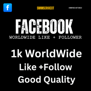 1k Facebook – Page Likes + Followers