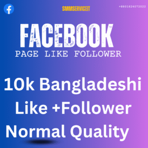 10k Facebook – Page Likes + Followers ~ Combo Package